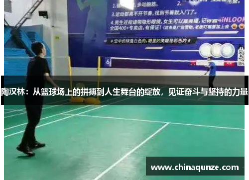 陶汉林：从篮球场上的拼搏到人生舞台的绽放，见证奋斗与坚持的力量